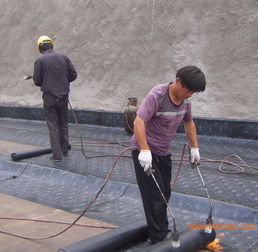 膠南專業防水服務全解析 從公司電話、廠家到工程價格與施工